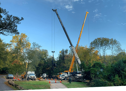 Joe D. Tree Service