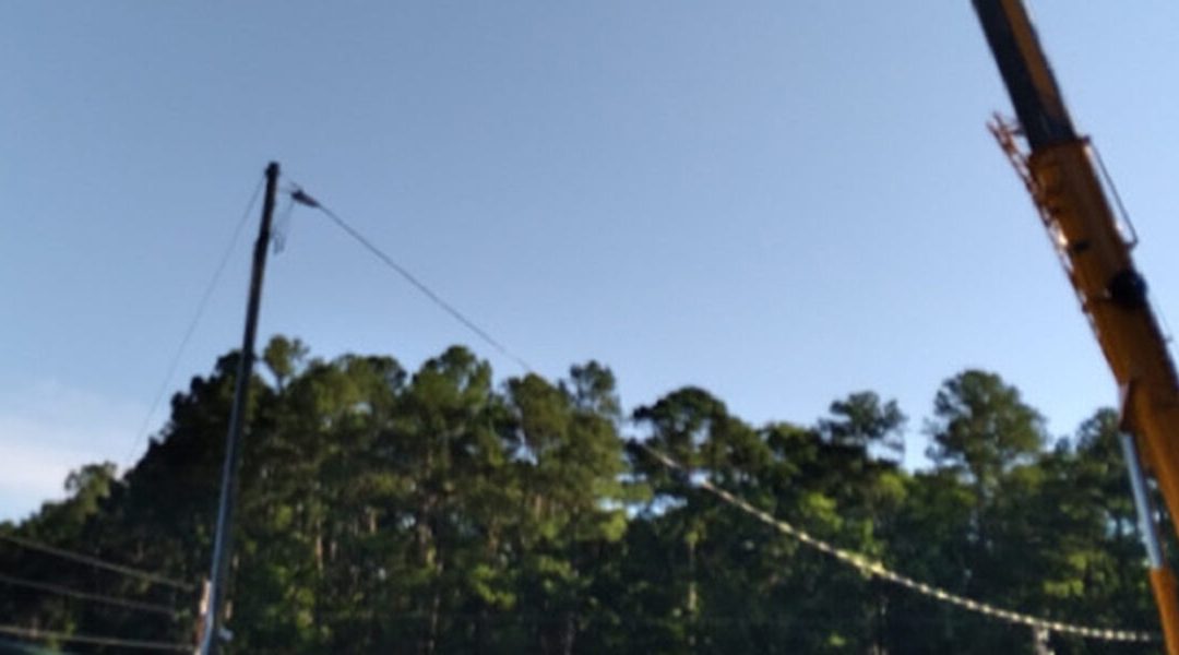 How to Resolve Tree on Power Line Dilemmas in Chapel Hill, NC